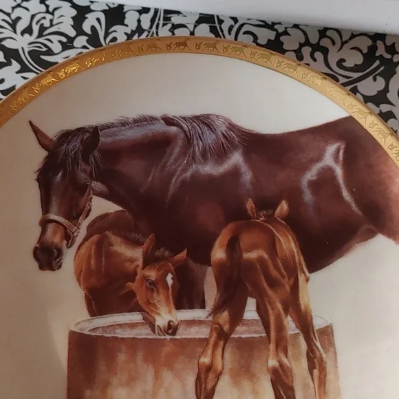 Ascent plate - Picture 3 of 3